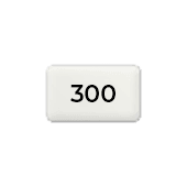 300 g gerecycled papier